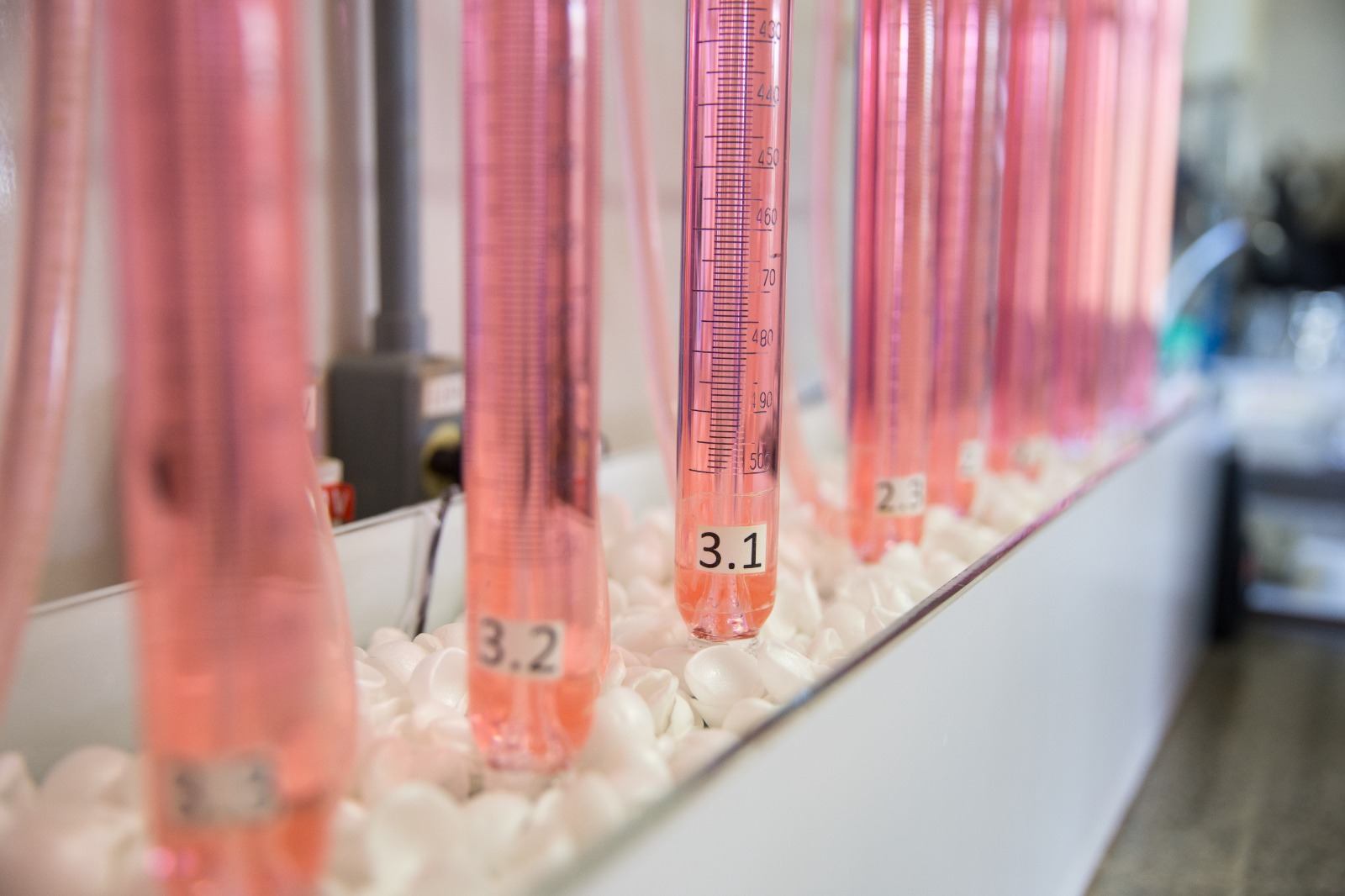 Você está visualizando atualmente Fórum terá reunião entre Laboratórios de Biogás no dia 19 de abril, quarta-feira