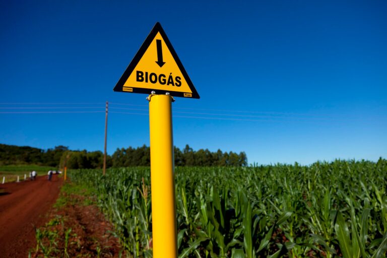 Leia mais sobre o artigo Evento paralelo: Sessão de Negócios do Biogás e Biometano