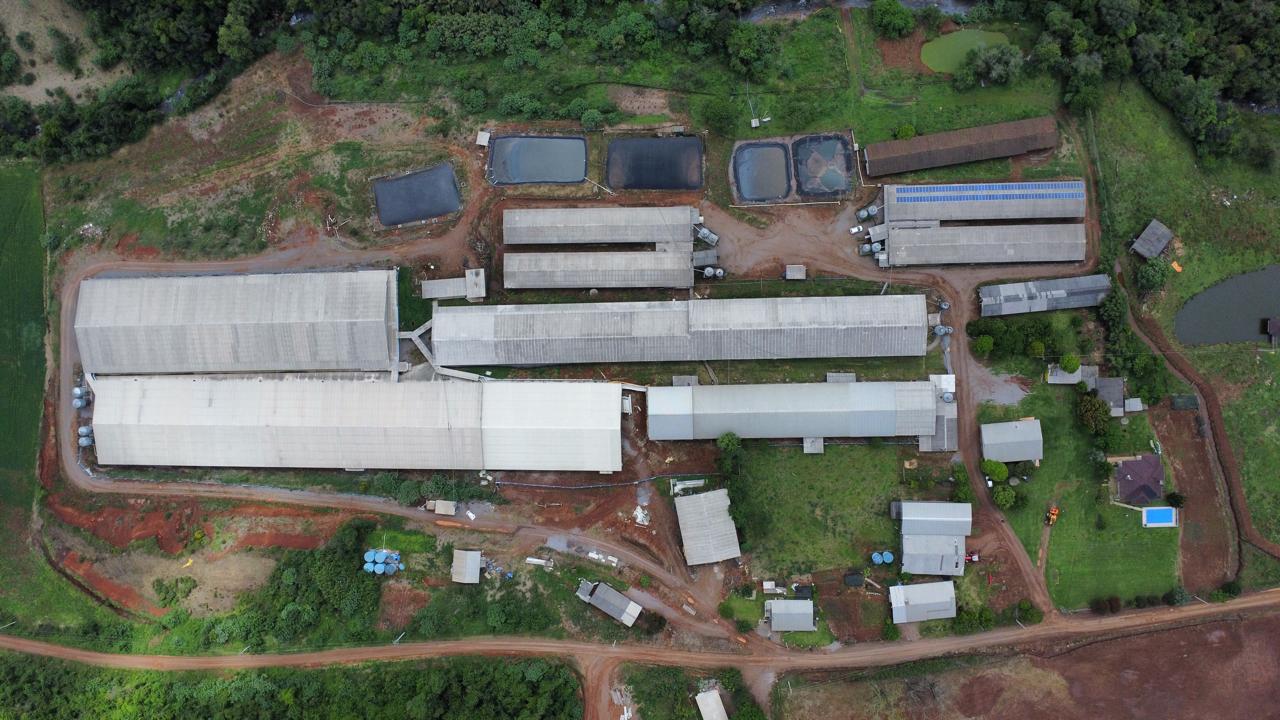 Leia mais sobre o artigo Visitas técnicas: três roteiros para conhecer unidades na área industrial e na pecuária